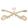 Custer's 7th Cavalry Insignia