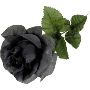 Black Rose