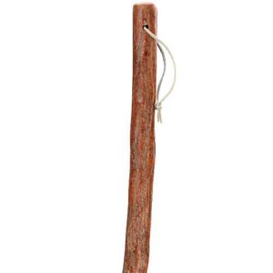 Brown and Brass Knob Walking Stick
