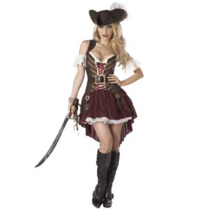 Womens Sexy Swashbuckler Costume