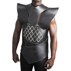 Unsullied Armor