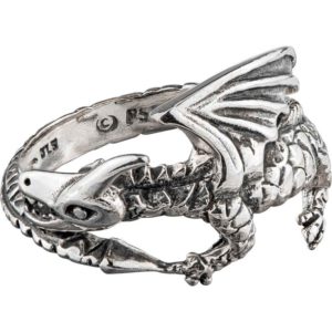 White Bronze Coiled Dragon Ring