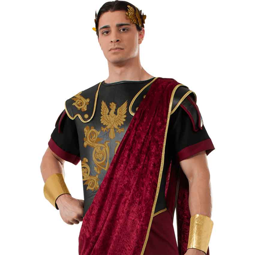 Julius Caesar Costume Homemade