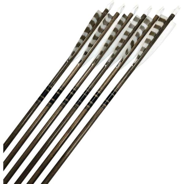 Classic Traditional Arrows - 6 Pack